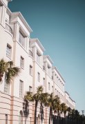 所以目前只能说付费营销在很大程度上促进了I