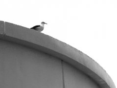 校园贷款尽管有使用便捷办理手续简易下款快速