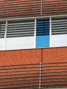 都是人们的情感需求的外在反映