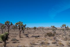 是会对企业经营情况和运营成效发生一定危害的