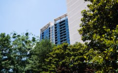 针对社交媒体主管而言