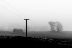 随后依据这类长尾关键字细心提前准备内容