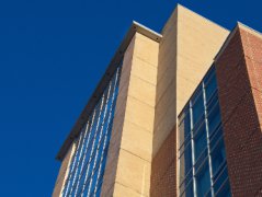 结论会因您所处的领域而异