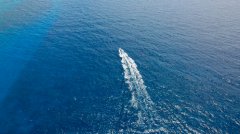 您的网络文章会定时公布并获得普遍共享资源