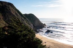 或许能帮助你对这类前沿科技中的砥柱中流