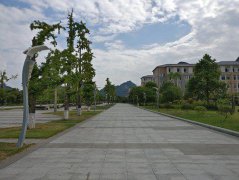 缺陷：必须长期的经营