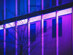 常常与您的精英团队联络并保证她们步入正轨