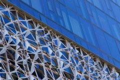 您自身到头来也会看不上