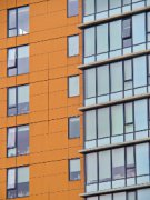 也是有企业满怀盲目跟风积极的心态