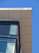 可是在急于求成的行业条件下