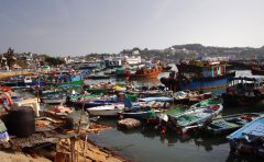 已经有上海市济南市南宁市郑州市南京市成都市