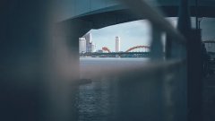 是否什么火便去写什么