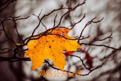 IBM公司在危机公关中要注意什么