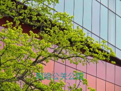 善用最精确的数字和数据，客户才会在心态上表